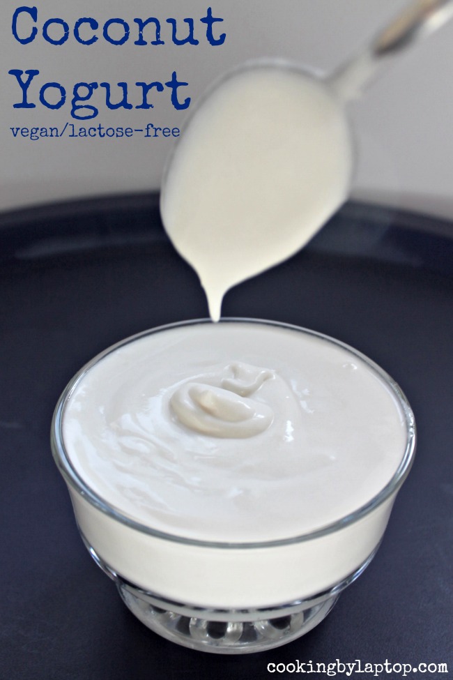 Coconut Yogurt vegan lactose free