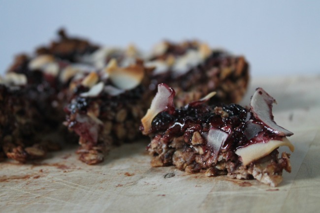 peanut butter and jelly granola bars good and cheap