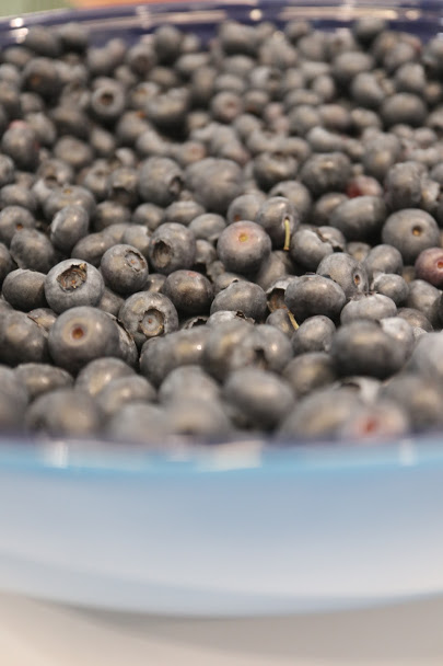 BC Blueberries
